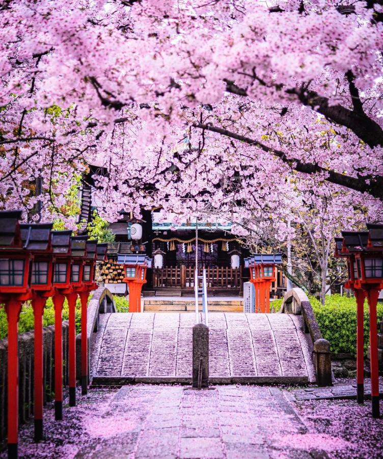 الشقق الفندقية Kyoto-Toji House المظهر الخارجي الصورة