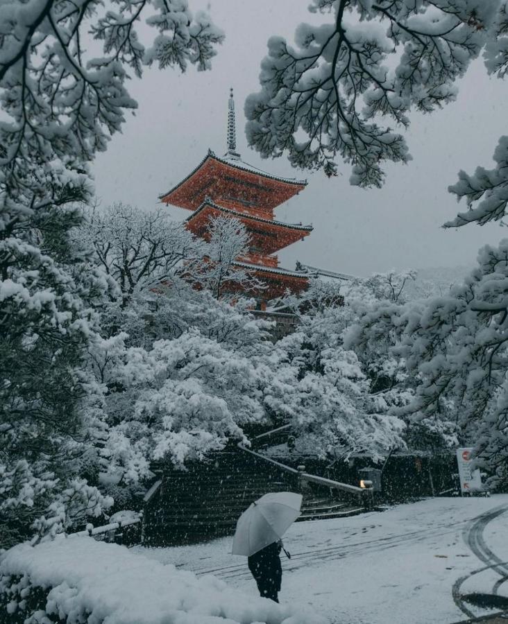 الشقق الفندقية Kyoto-Toji House المظهر الخارجي الصورة