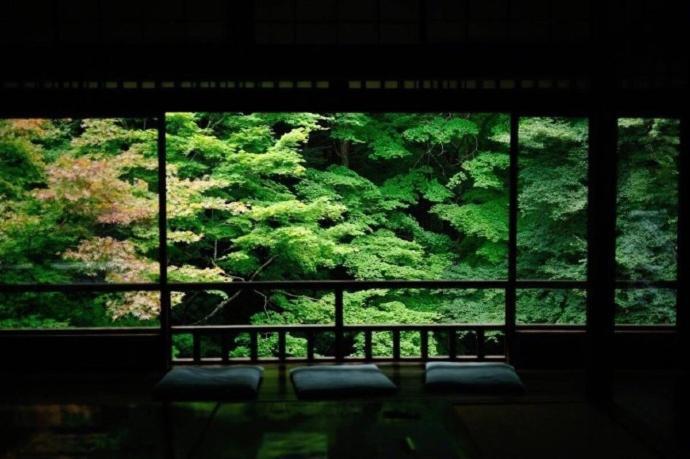 الشقق الفندقية Kyoto-Toji House المظهر الخارجي الصورة