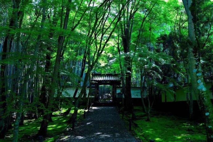 الشقق الفندقية Kyoto-Toji House المظهر الخارجي الصورة